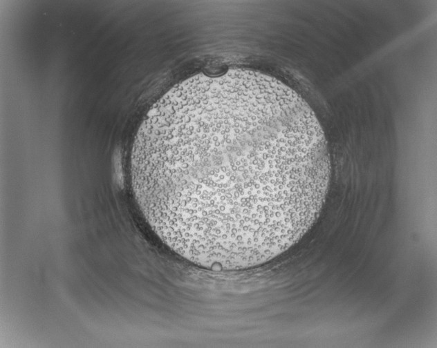 X0000052970026200508051026