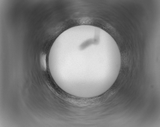 X0000052970028200508051026