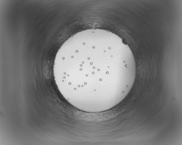 X0000052970030200508051026