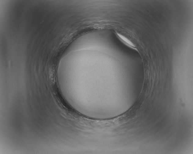 X0000052970031200508051026