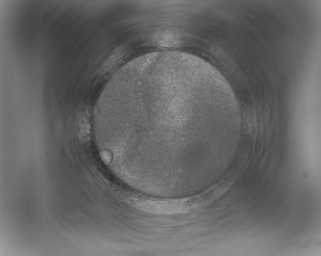 X0000052970032200508051026