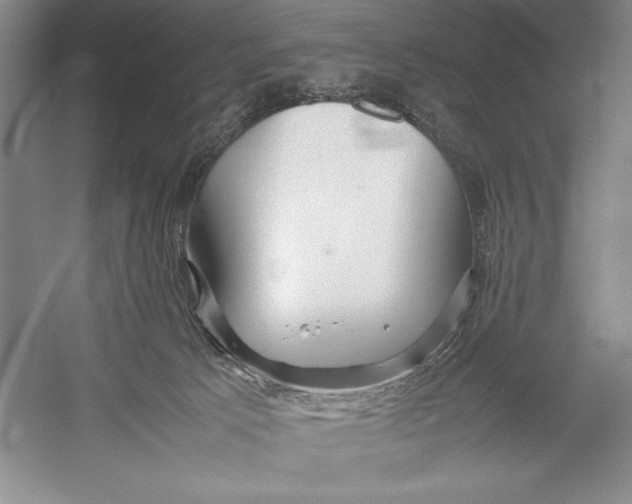 X0000052970033200508051026