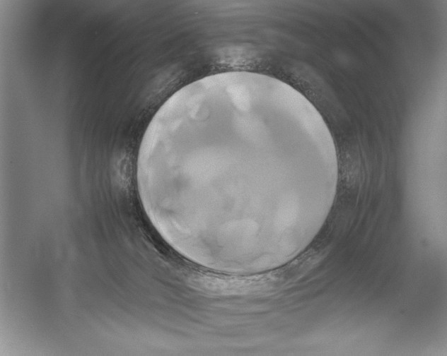 X0000052970036200508051026