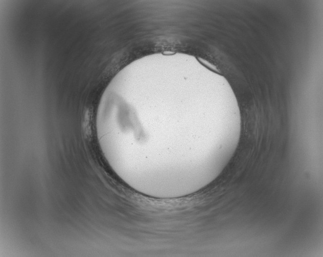 X0000052970038200508051026