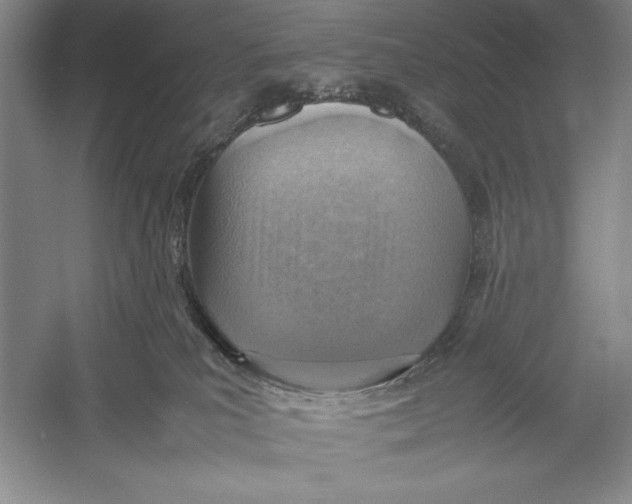 X0000052970039200508051026