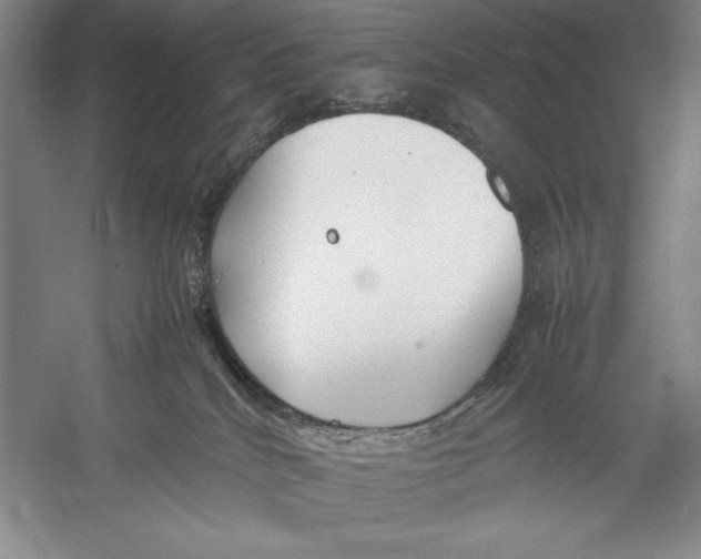 X0000052970040200508051026