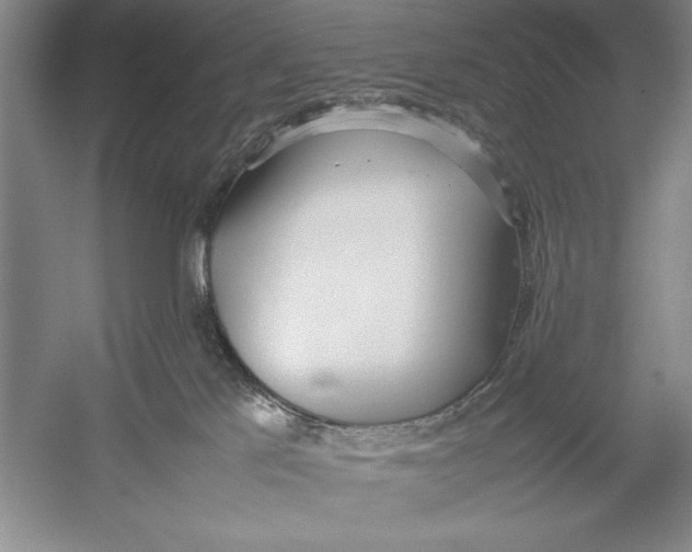 X0000052970041200508051026