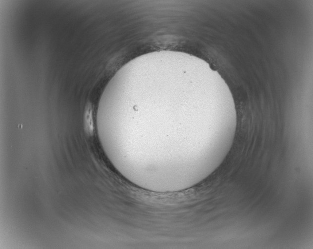 X0000052970042200508051026