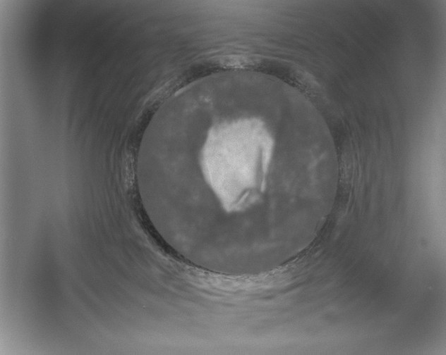 X0000052970043200508051026