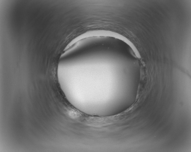 X0000052970045200508051026