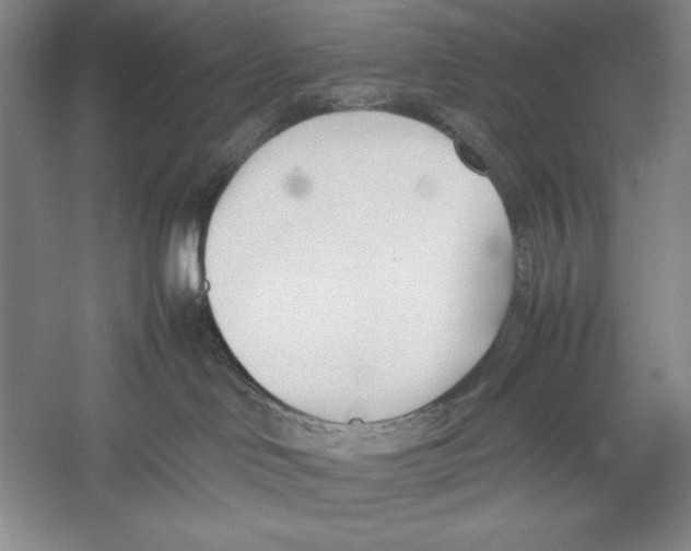 X0000052970046200508051026