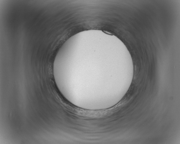 X0000052970048200508051026