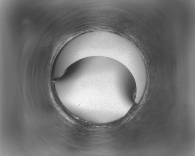 X0000052970049200508051025