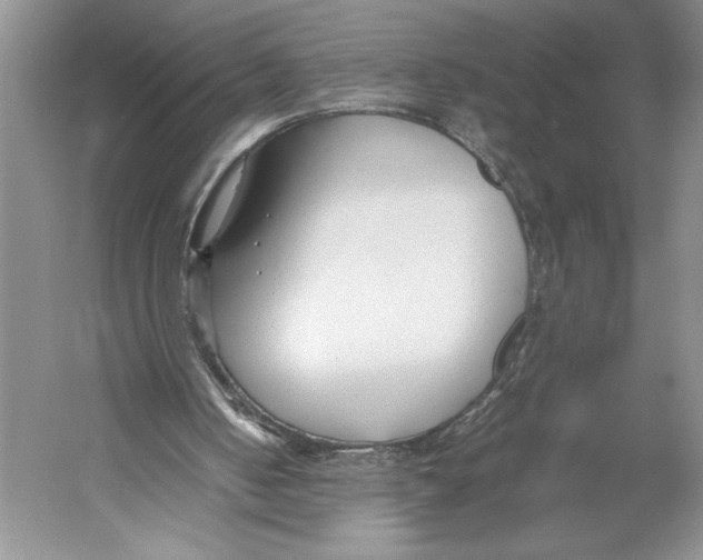 X0000052970050200508051025