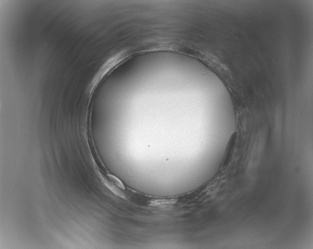 X0000052970051200508051025