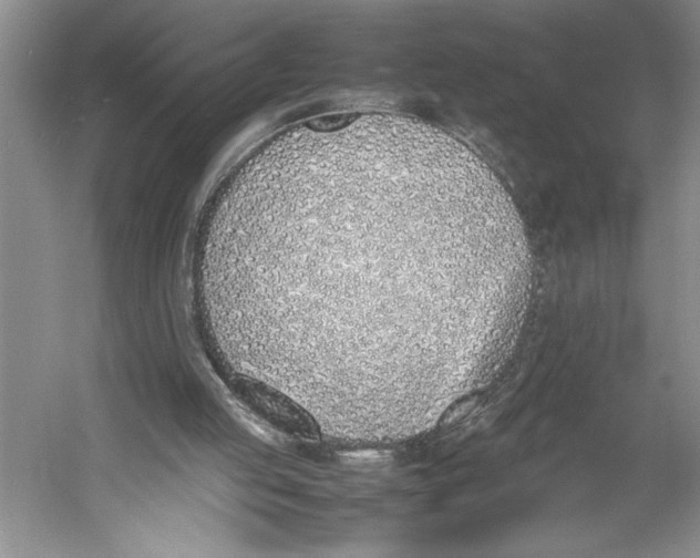 X0000052970053200508051025