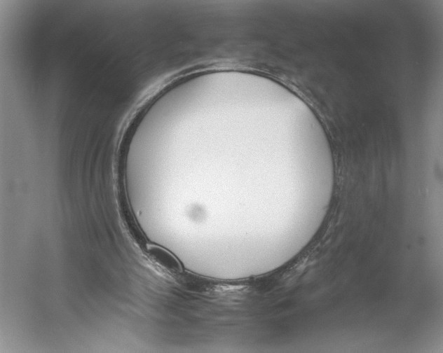 X0000052970055200508051025