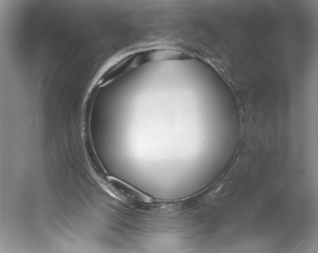 X0000052970056200508051025