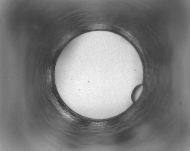 X0000052970057200508051025