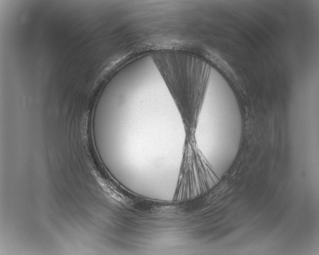 X0000052970058200508051025