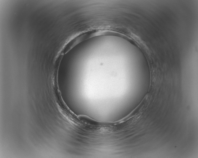 X0000052970060200508051025