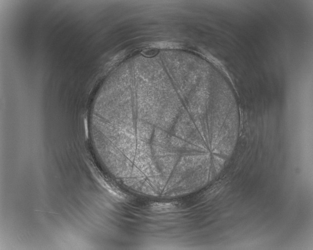 X0000052970061200508051025