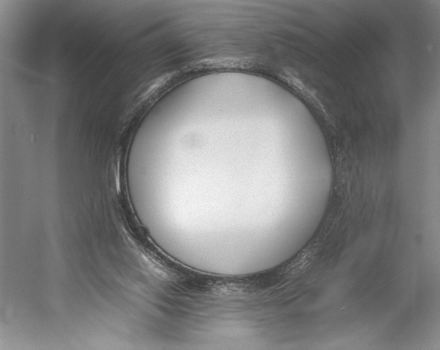 X0000052970062200508051025