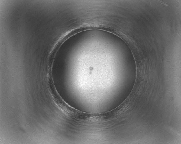 X0000052970064200508051025