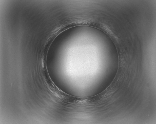 X0000052970068200508051025