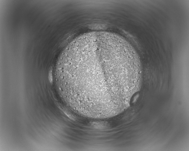 X0000052970069200508051025