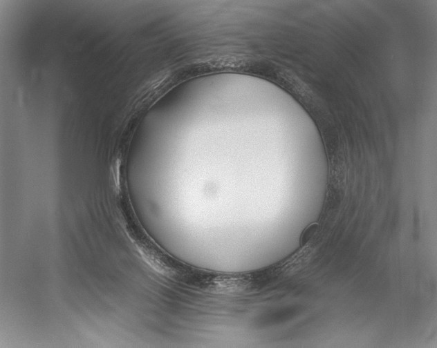 X0000052970070200508051025