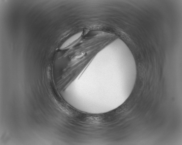 X0000052970071200508051025