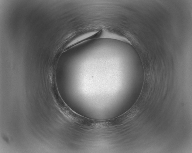 X0000052970072200508051026