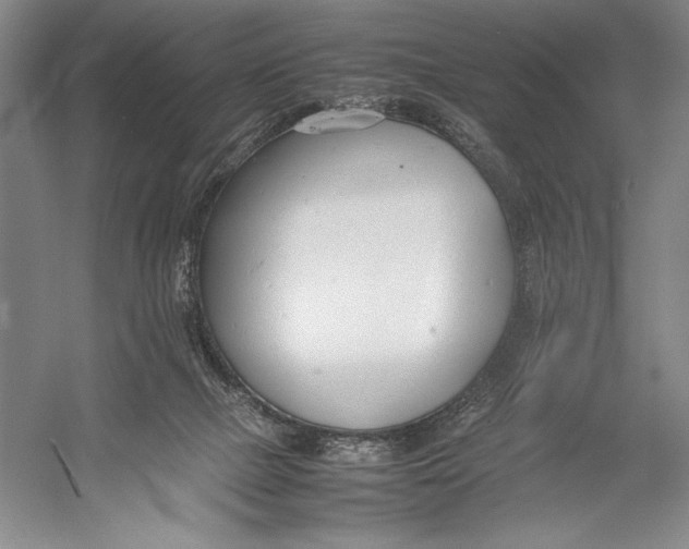 X0000052970073200508051026