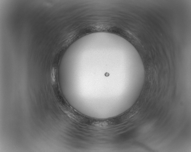 X0000052970075200508051026