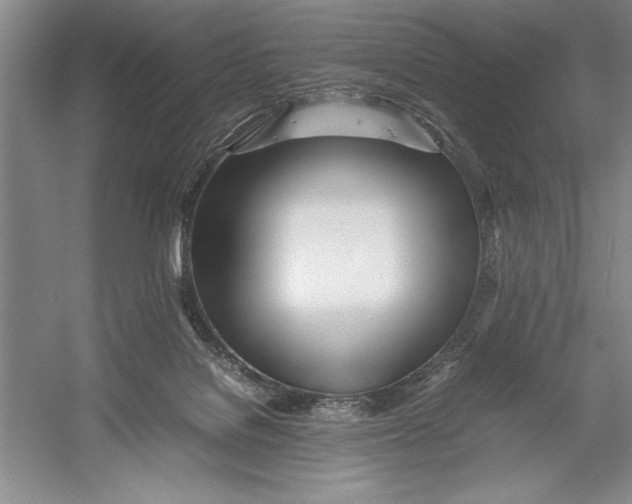 X0000052970076200508051026