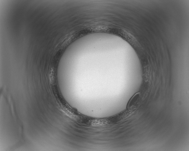 X0000052970077200508051026