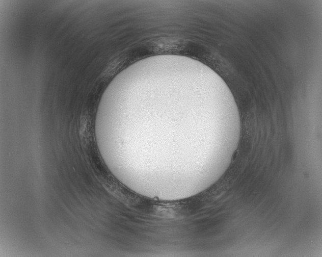 X0000052970079200508051026