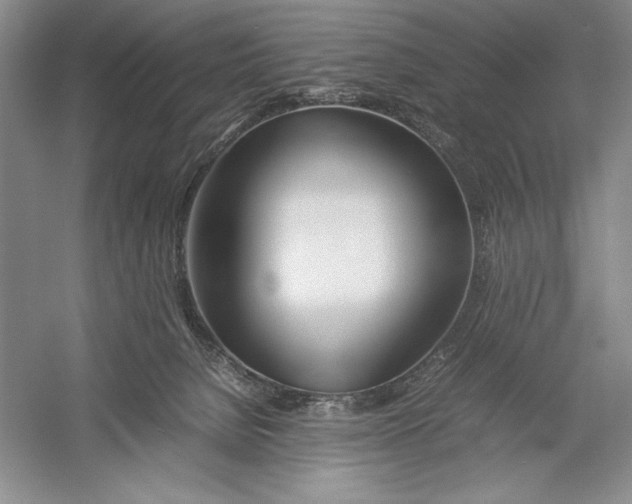 X0000052970080200508051026