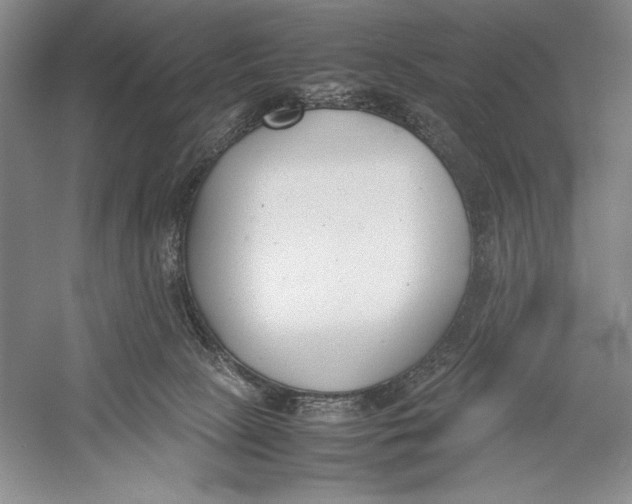 X0000052970081200508051026