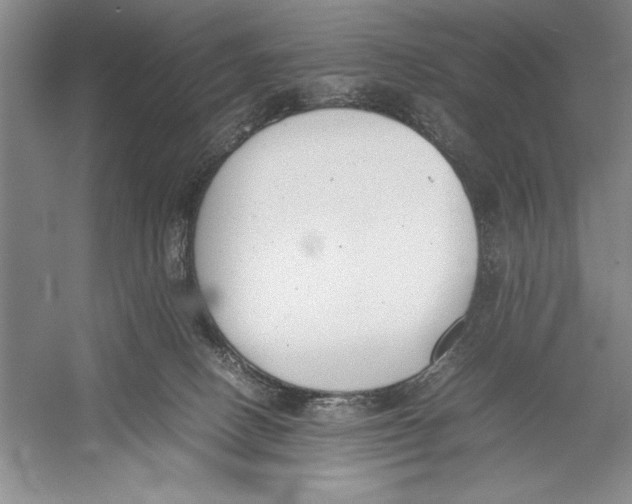 X0000052970082200508051026