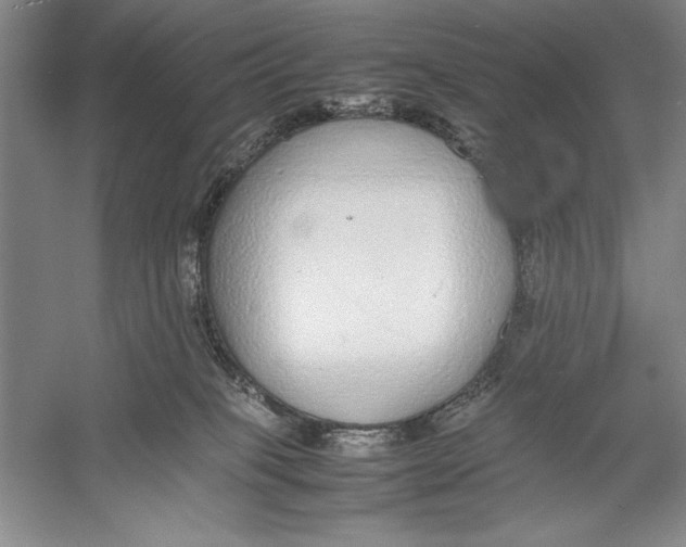 X0000052970085200508051026