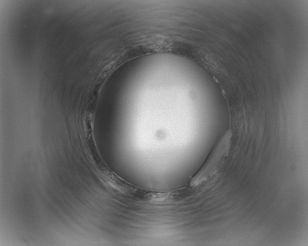 X0000052970088200508051026