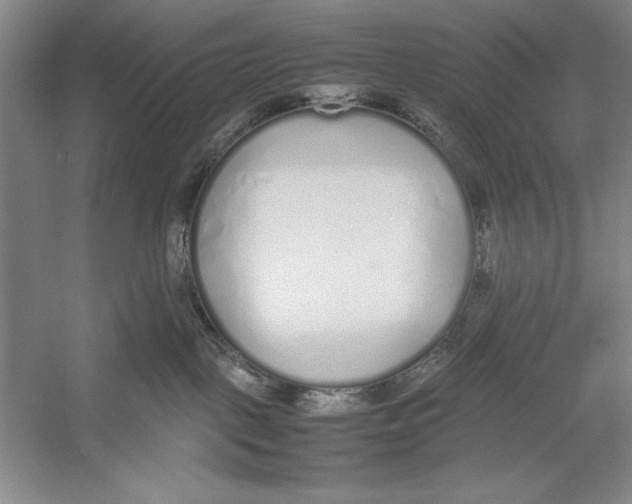 X0000052970093200508051026