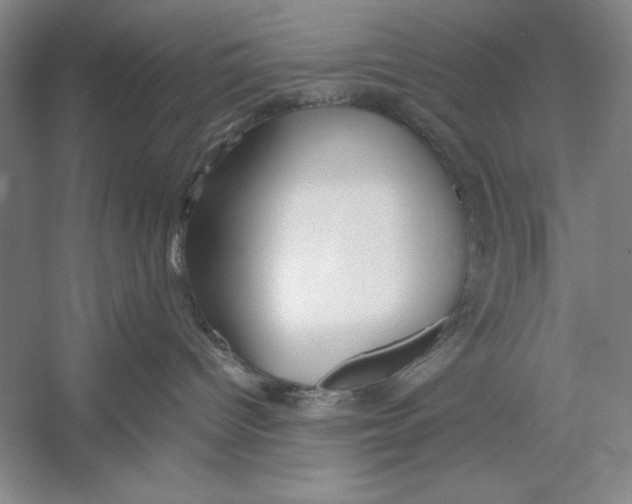 X0000052970096200508051026