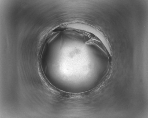 X0000052970097200508051025