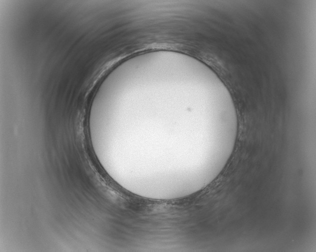 X0000052970098200508051025