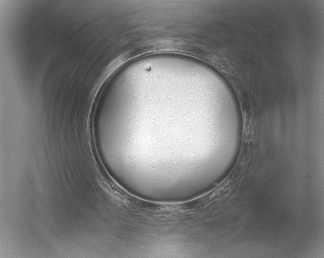 X0000052970099200508051025