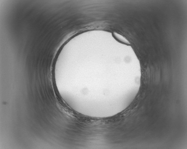 X0000052970100200508051025