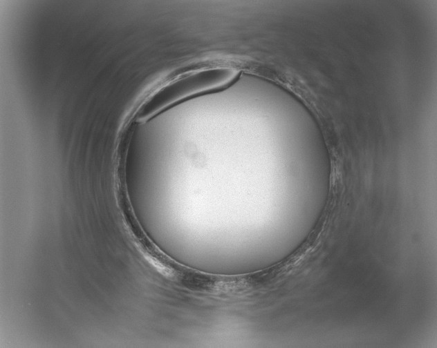 X0000052970101200508051025